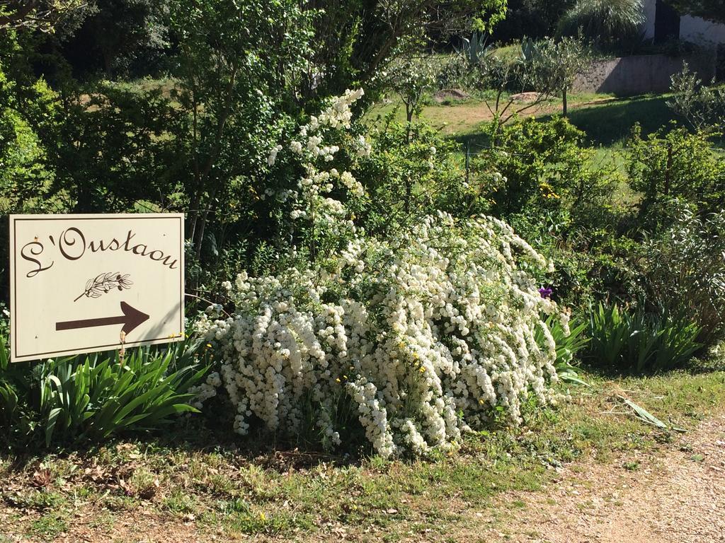 L'Oustaou B&B Piscine & Spa Besse-sur-Issole Екстер'єр фото