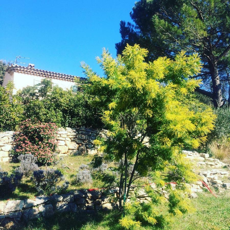 L'Oustaou B&B Piscine & Spa Besse-sur-Issole Екстер'єр фото